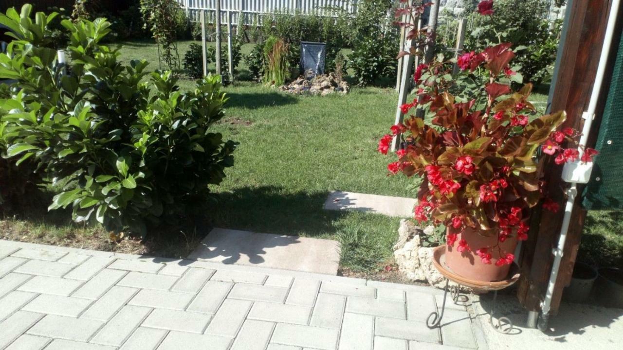 מלון Borostyan Vendeghaz אגר מראה חיצוני תמונה
